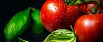 YouTils project Image